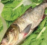 常德通用壓縮機(jī)永磁變頻螺桿空壓機(jī)